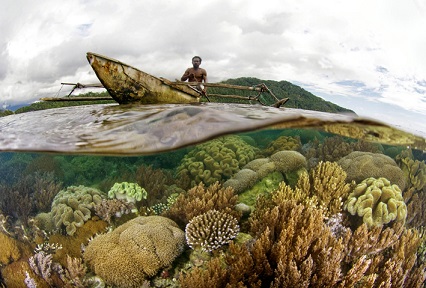 This Handout Picture Taken On August 16, 2007 And Released By Conservation International On February 20, 2013 Shows A Fisherman Navigating His Wooden Boat Over A Coral Reef In Raja Ampat. Indonesia Has Announced A New Shark And Manta Ray Sanctuary, The First To Protect The Species In The Rich Marine Ecosystem Of The Coral Triangle, Known As The "Amazon Of The Ocean". Environmentalists On February 20 Welcomed The Creation Of The 46,000-square-kilometre (18,000-square-mile) Protection Zone In Raja Ampat, An Area At Risk From Both Overfishing And Climate Change. AFP PHOTO / CONSERVATION INTERNATIONAL / STERLING ZUMBRUNN
---EDITORS NOTE---RESTRICTED TO EDITORIAL USE MANDATORY CREDIT "AFP PHOTO / CONSERVATION INTERNATIONAL / STERLING ZUMBRUNN " NO MARKETING - NO ADVERTISING CAMPAIGNS - DISTRIBUTED AS A SERVICE TO CLIENTS - NO SALES - NO ARCHIVES