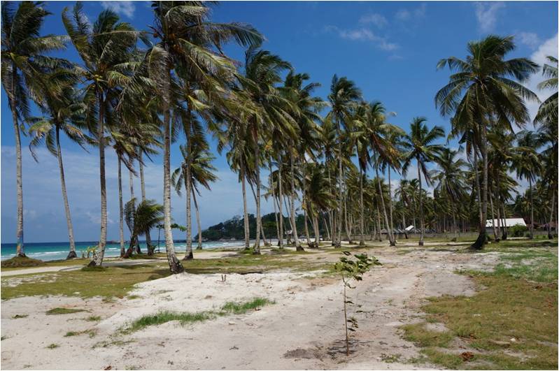 Trikora Garden Bungalows